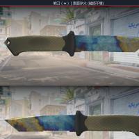 【CSGO】熊刀 (★)  |表面淬火（破损不堪）