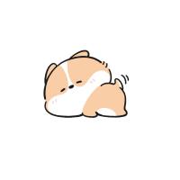 豌豆张先生